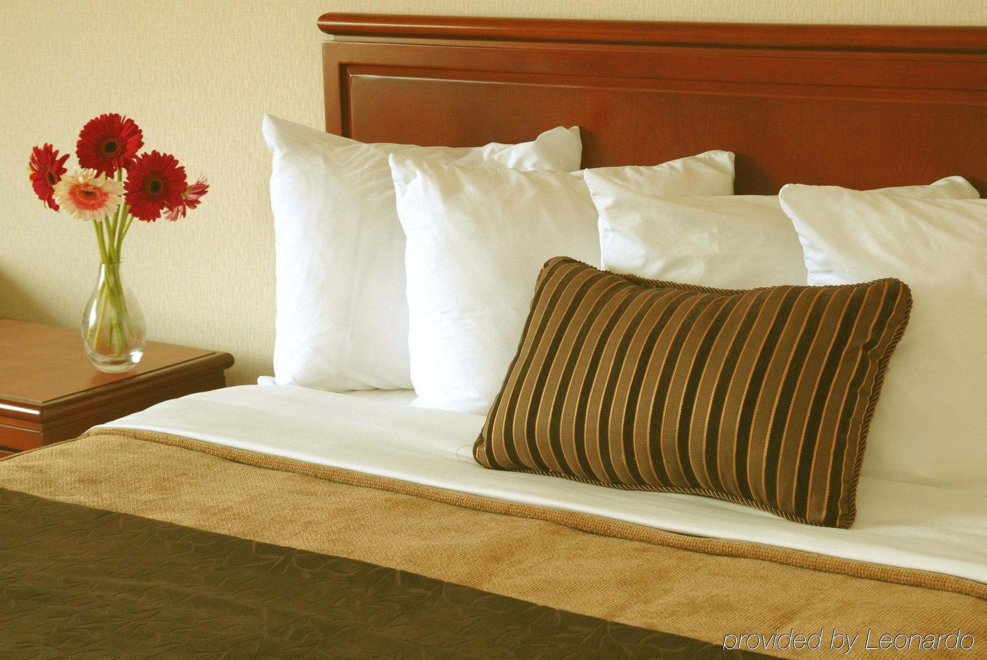 Doubletree By Hilton St. John'S Harbourview Hotel Phòng bức ảnh